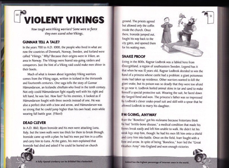 Violent Vikings